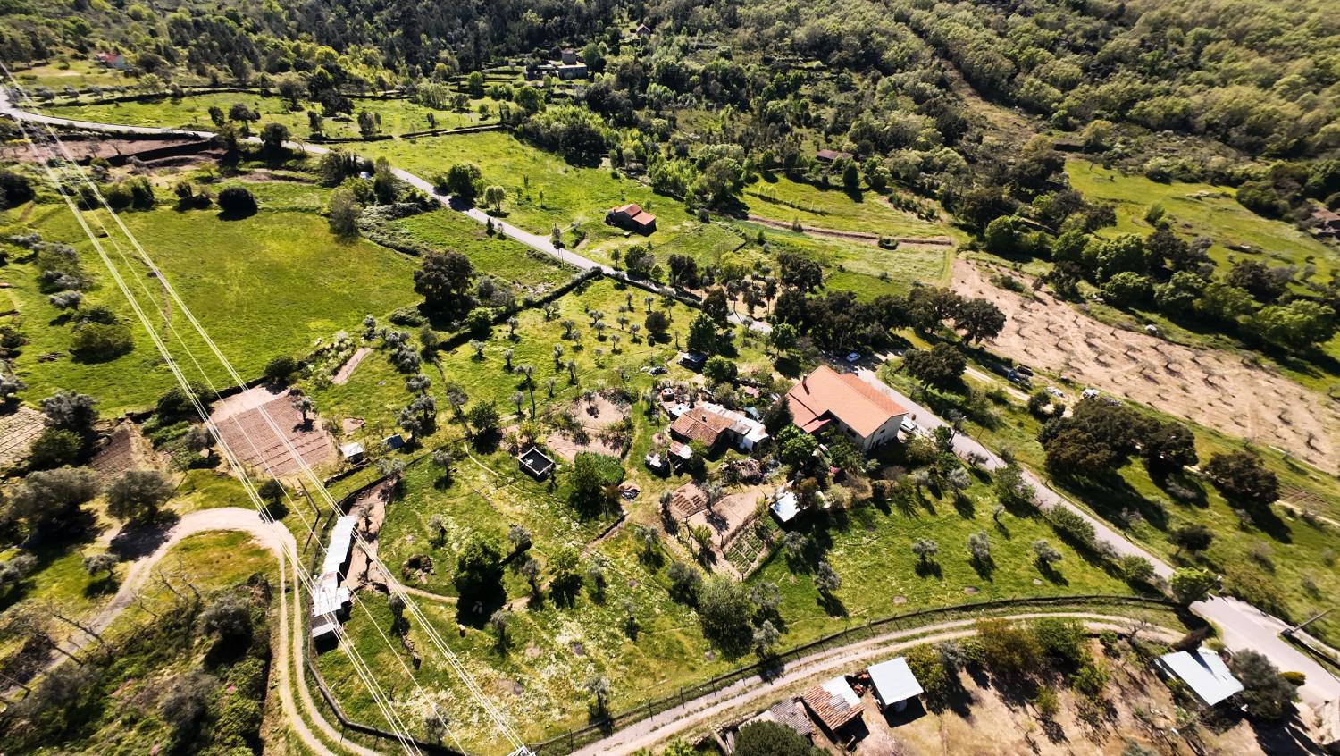  te koop boerderij Celorico da Beira Celorico Da Beira 2