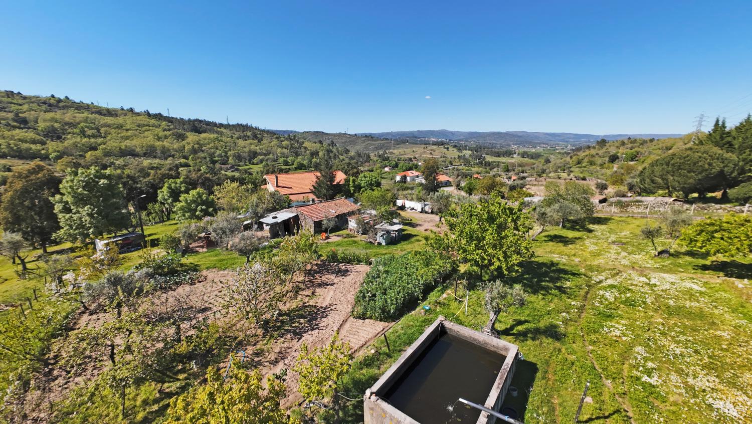  te koop boerderij Celorico da Beira Celorico Da Beira 5