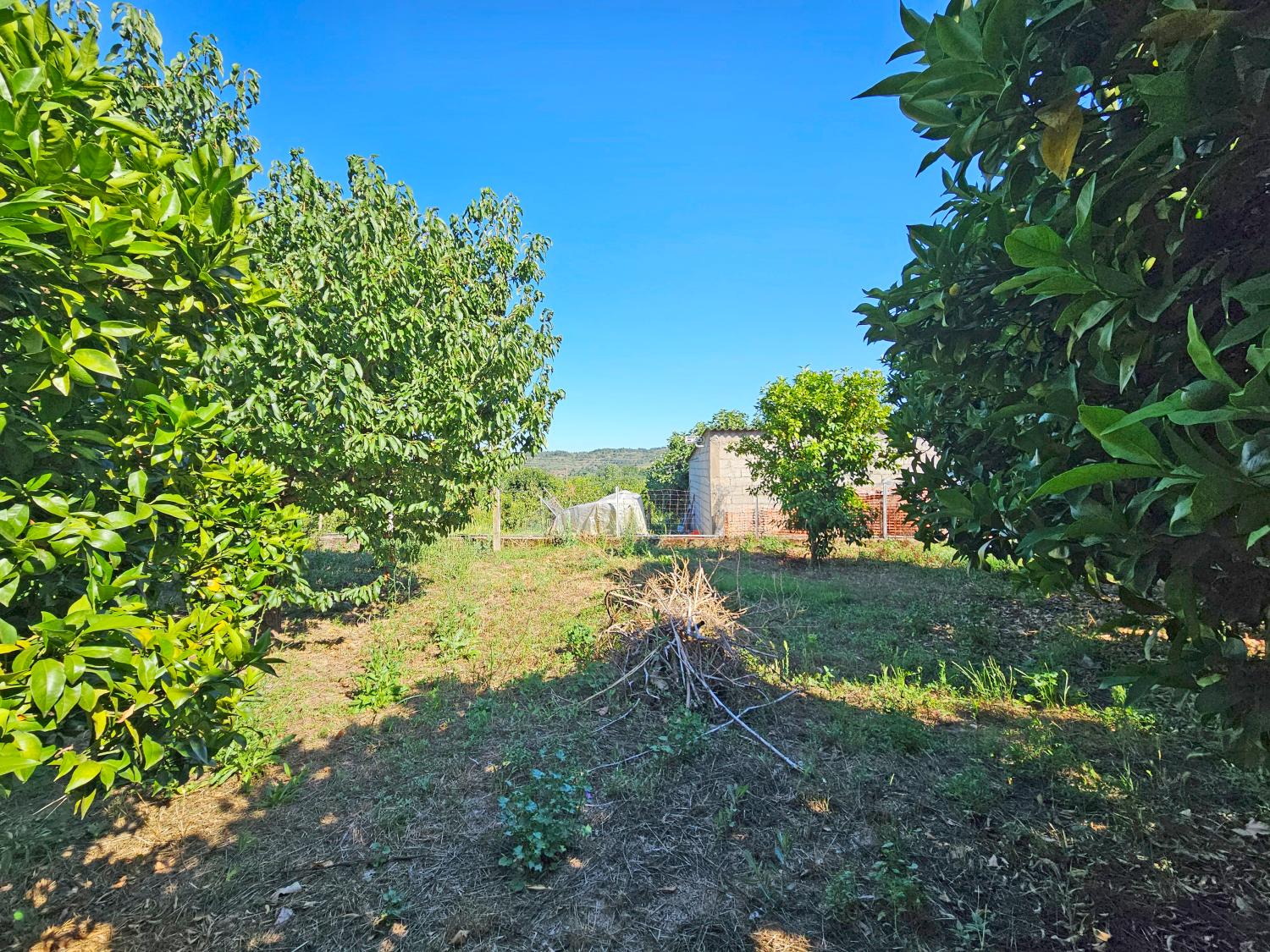  te koop huis Orjais Covilhã 3