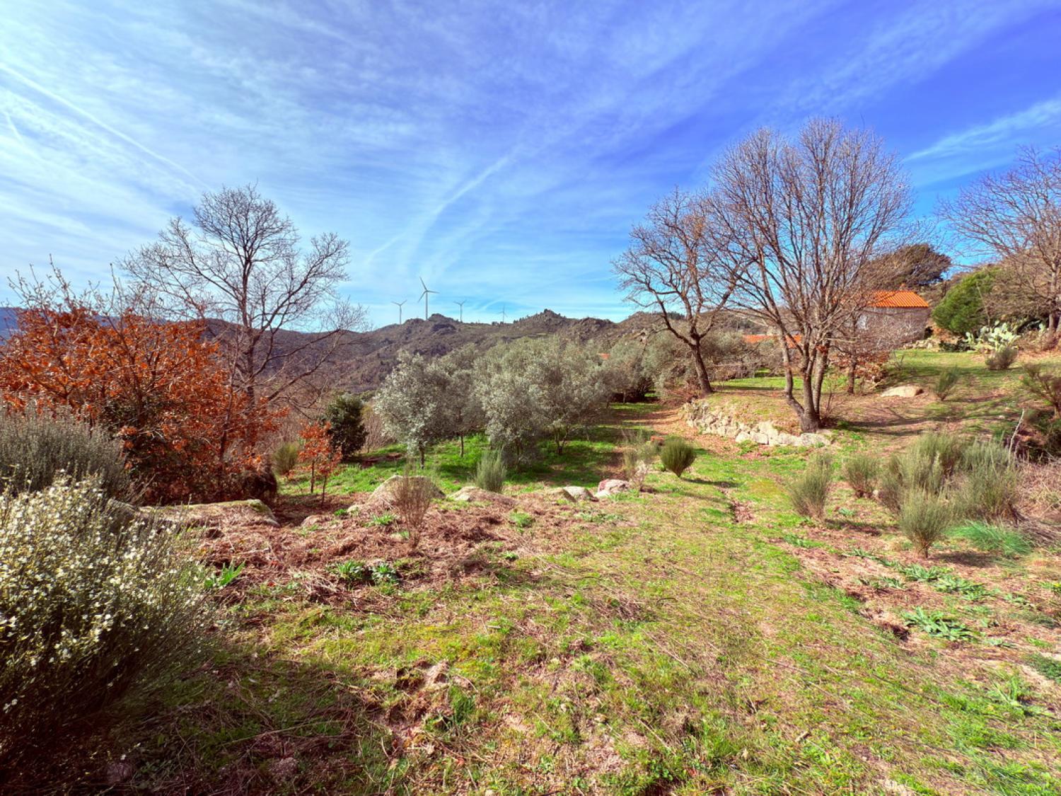  te koop boerderij Pousafoles do Bispo Sabugal 37