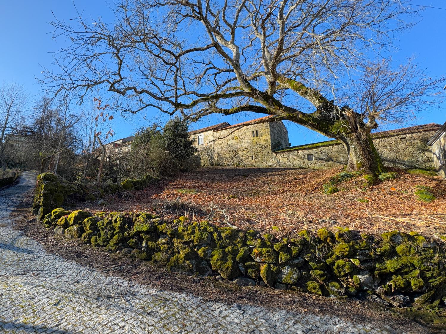  te koop dorpshuis Pousafoles do Bispo Sabugal 2