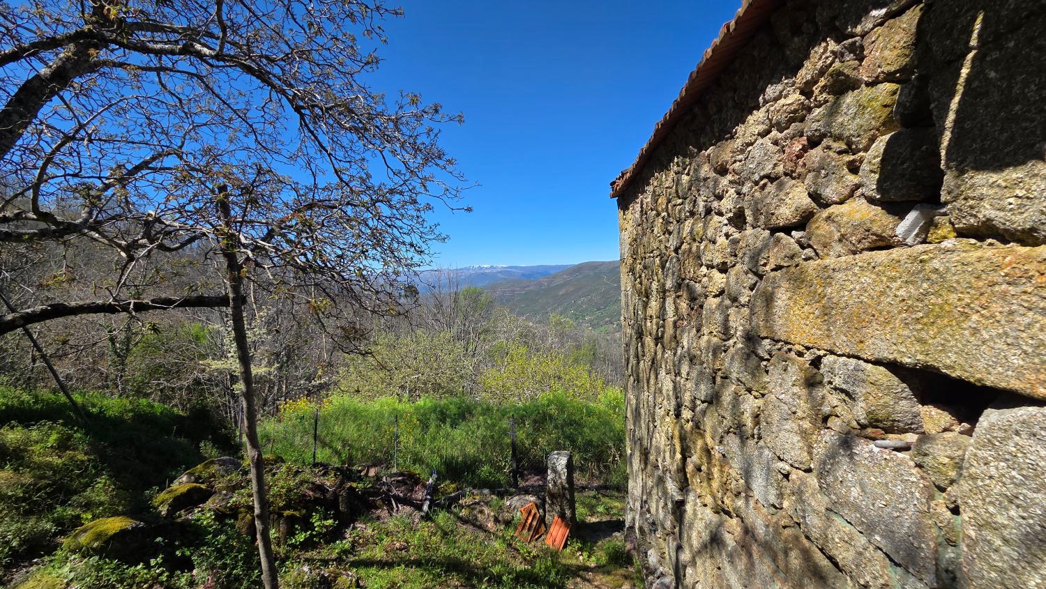 te koop boerderij Famalicão Guarda 2