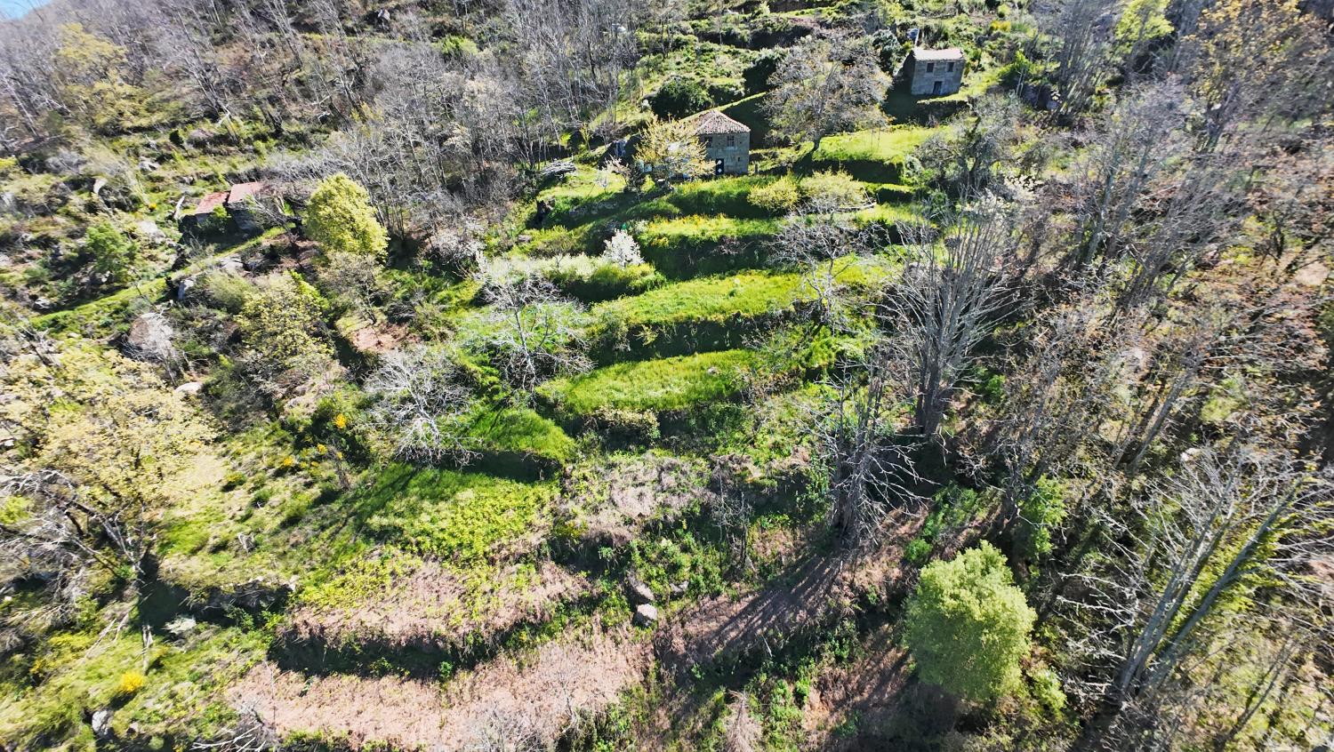  te koop boerderij Famalicão Guarda 8