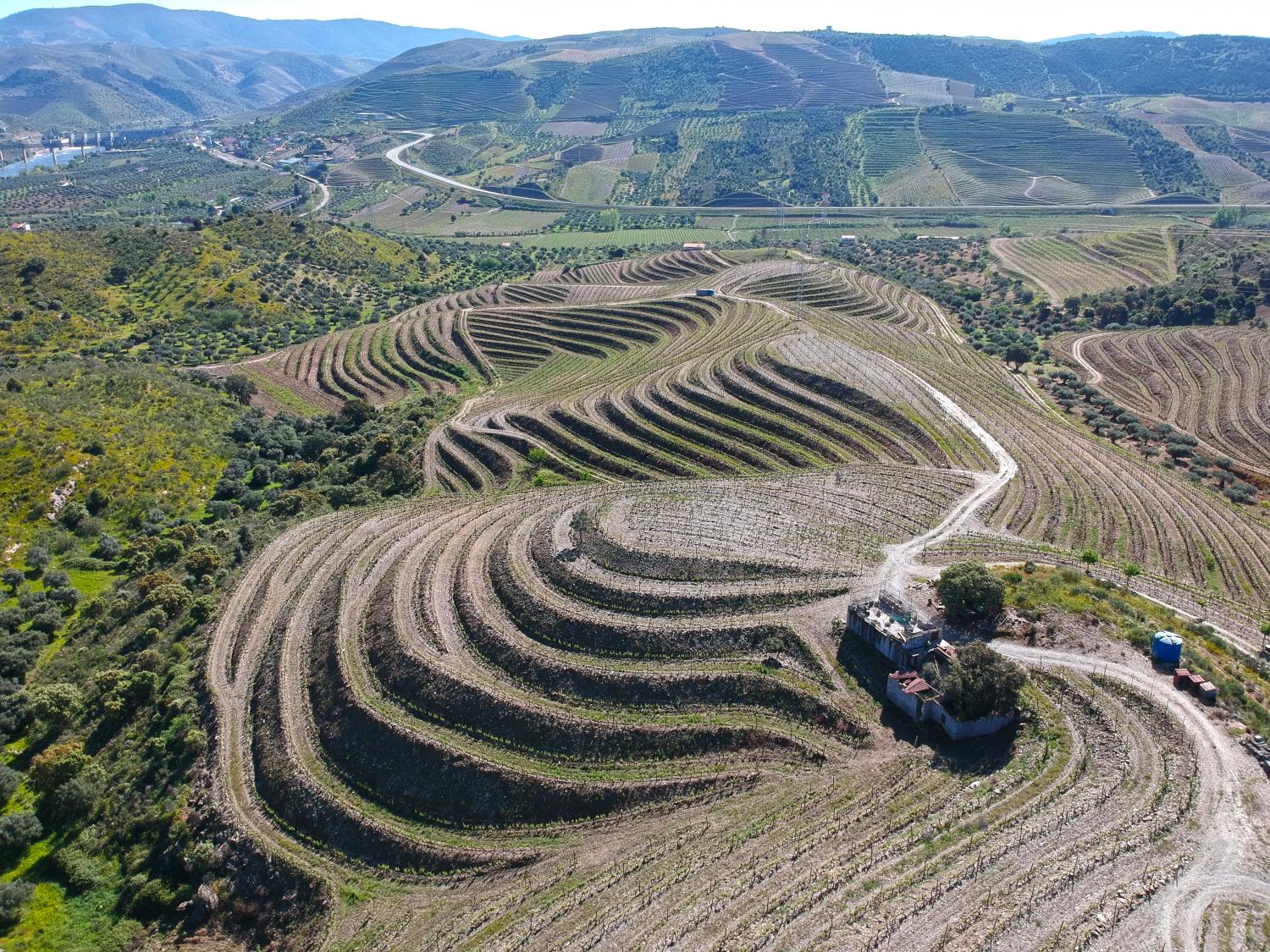  te koop wijngaard Vila Nova de Foz Côa Vila Nova De Foz Côa 1